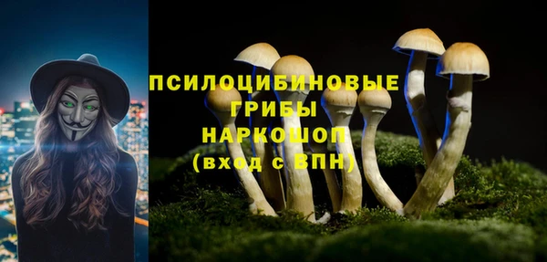 a pvp Белоозёрский