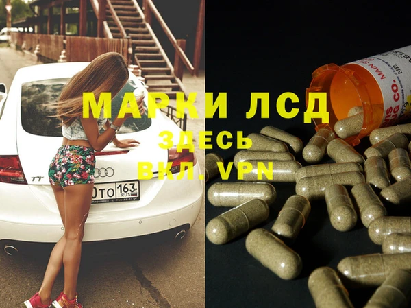 сатива Беломорск