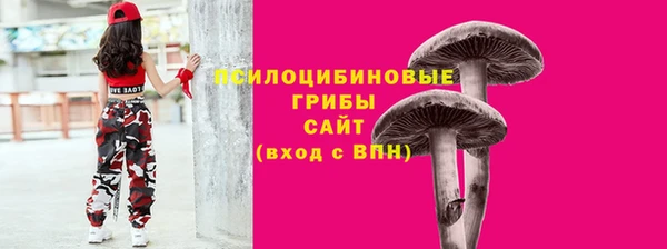 эйфоретик Баксан