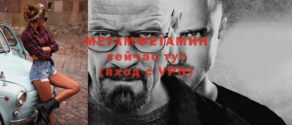 сатива Беломорск